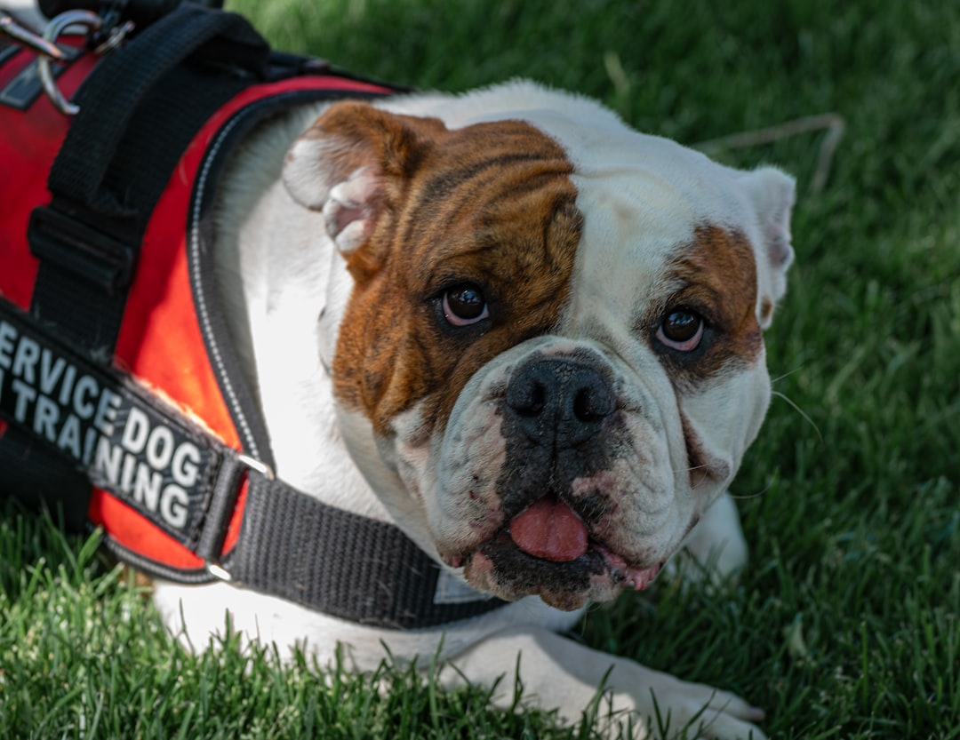 Biometric Authentication for Handler-Dog Team Documentation: Privacy-Preserving Verification at the Edge of ADA Law