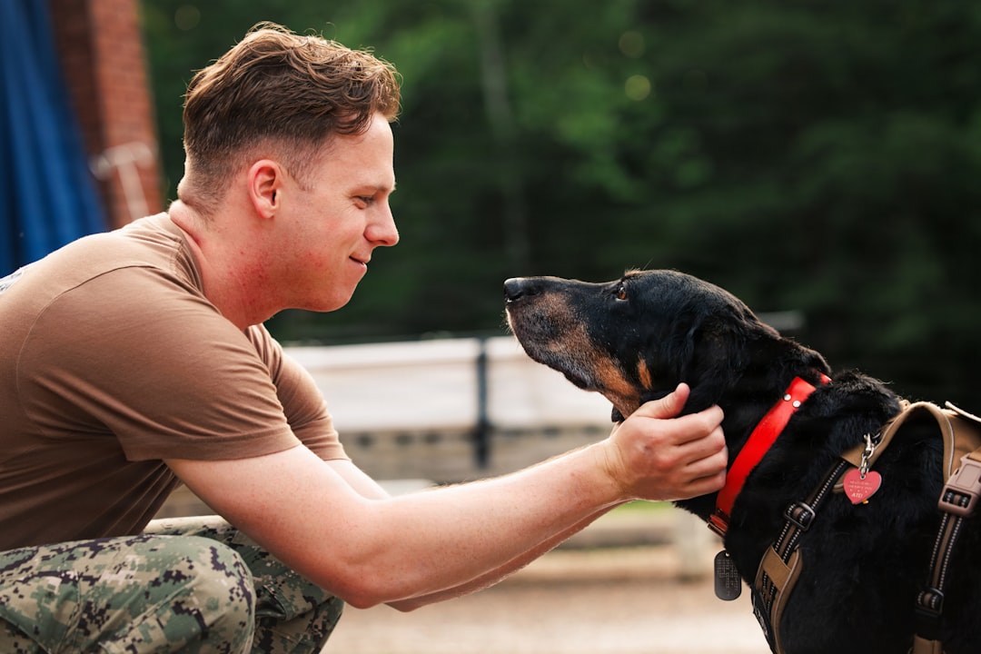 Computer Vision for Service Dog Public Access Assessment: Canine Pose Estimation, Behavioral Markers and the Limits of Single-Camera Evaluation