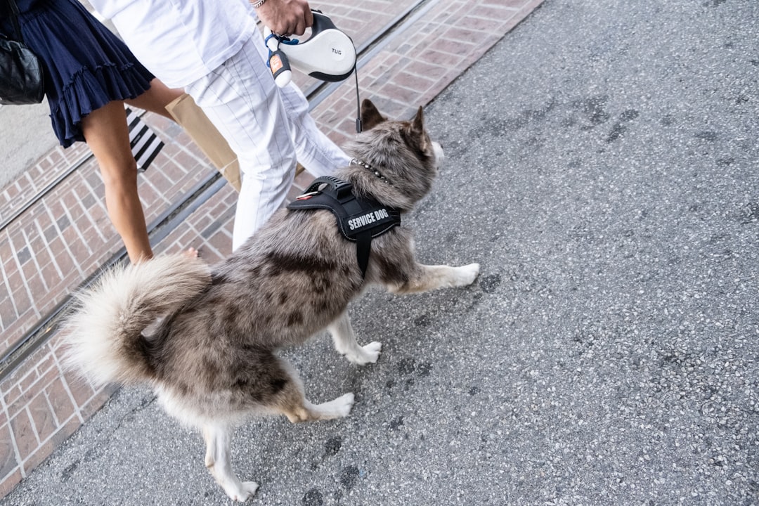 The ADA Two-Question Rule and the Case Against AI Documentation Checks for Service Dogs